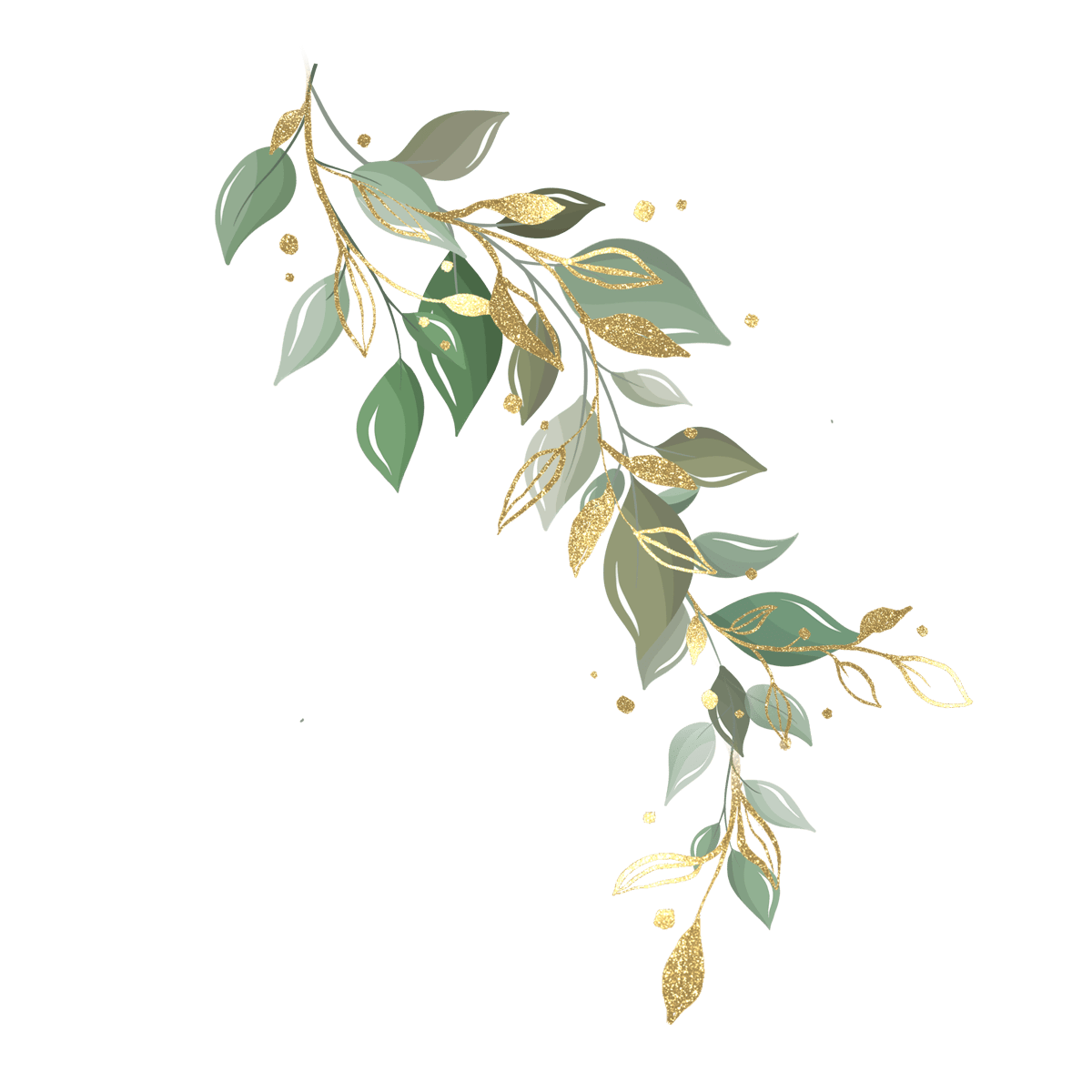 leaf image